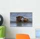 Captive Grizzly Bears Playing Wall Mural