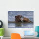 Captive Grizzly Bears Playing Wall Mural
