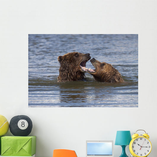 Captive Grizzly Bears Playing Wall Mural