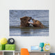 Captive Grizzly Bears Playing Wall Mural