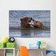 Captive Grizzly Bears Playing Wall Mural