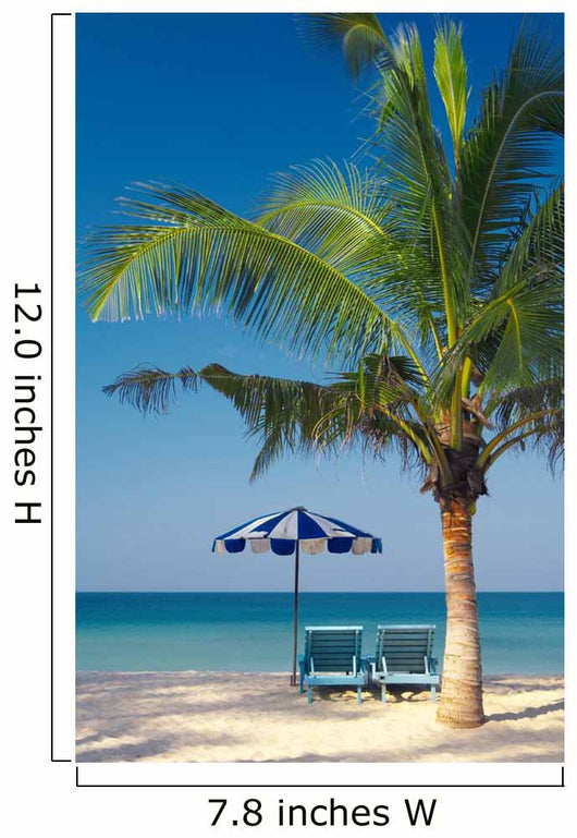 Palm Chairs Umbrella Wall Decal
