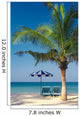 Palm Chairs Umbrella Wall Decal