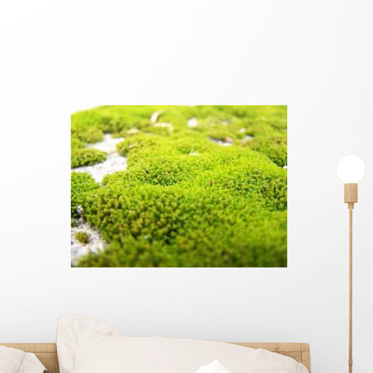 Mousse Wall Decal