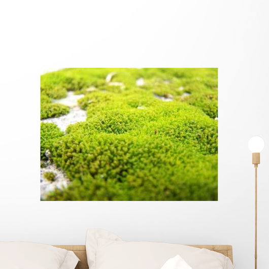 Mousse Wall Decal