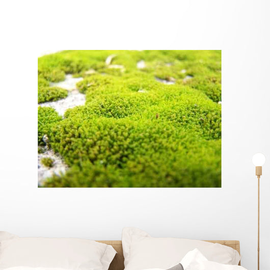 Mousse Wall Decal