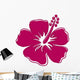 Hibiscus 6