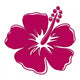 Hibiscus 6