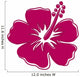Hibiscus 6