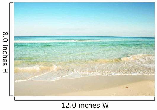Ocean Wall Decal