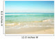 Ocean Wall Decal