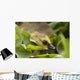 A Week-Old Canada Goose Goslings Hides Wall Mural