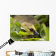 A Week-Old Canada Goose Goslings Hides Wall Mural
