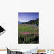 Autombiles On Seward Highway In Kenai Mtns Kp Ak Summer Wall Mural