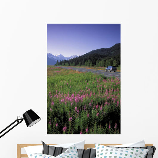 Autombiles On Seward Highway In Kenai Mtns Kp Ak Summer Wall Mural