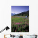 Autombiles On Seward Highway In Kenai Mtns Kp Ak Summer Wall Mural