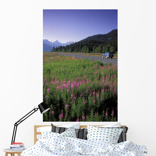Autombiles On Seward Highway In Kenai Mtns Kp Ak Summer Wall Mural