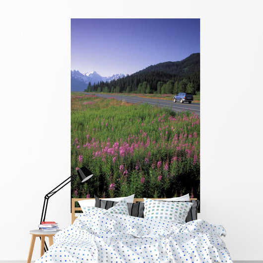 Autombiles On Seward Highway In Kenai Mtns Kp Ak Summer Wall Mural
