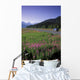 Autombiles On Seward Highway In Kenai Mtns Kp Ak Summer Wall Mural