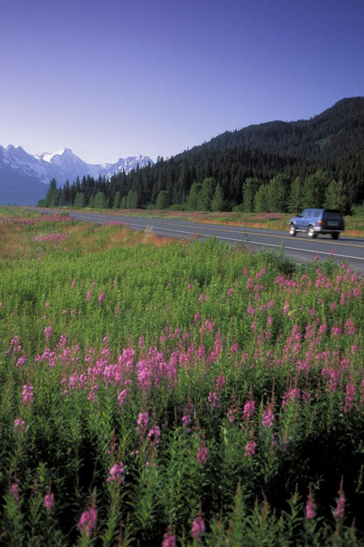 Autombiles On Seward Highway In Kenai Mtns Kp Ak Summer Wall Mural