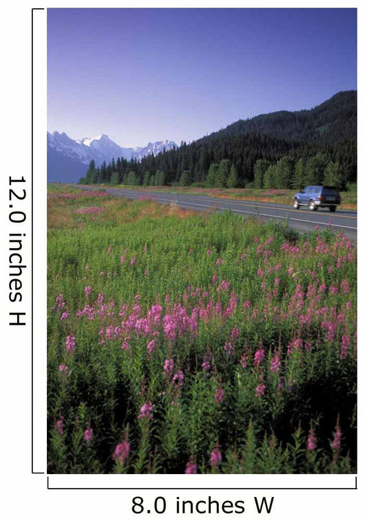 Autombiles On Seward Highway In Kenai Mtns Kp Ak Summer Wall Mural