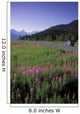 Autombiles On Seward Highway In Kenai Mtns Kp Ak Summer Wall Mural
