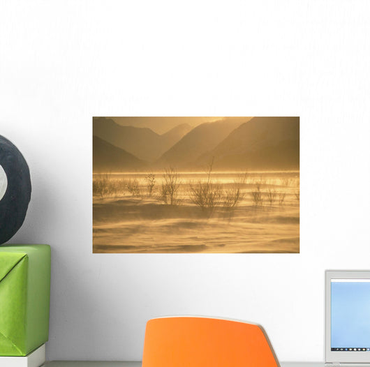 Winter Wind Storm W/ Blowing Snow @ Turnagian Arm Sc Ak Winter Scenic Wall Mural