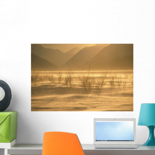 Winter Wind Storm W/ Blowing Snow @ Turnagian Arm Sc Ak Winter Scenic Wall Mural