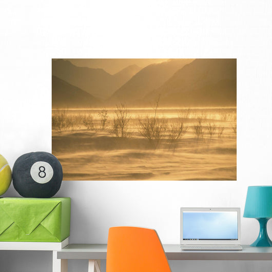 Winter Wind Storm W/ Blowing Snow @ Turnagian Arm Sc Ak Winter Scenic Wall Mural
