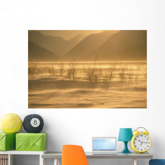 Winter Wind Storm W/ Blowing Snow @ Turnagian Arm Sc Ak Winter Scenic Wall Mural