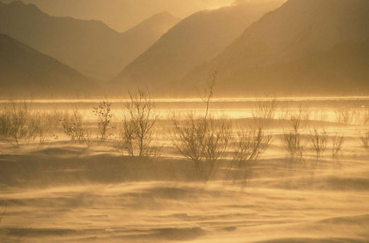 Winter Wind Storm W/ Blowing Snow @ Turnagian Arm Sc Ak Winter Scenic Wall Mural