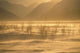 Winter Wind Storm W/ Blowing Snow @ Turnagian Arm Sc Ak Winter Scenic Wall Mural