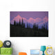 Alpenglow On Mt Brooks & Ak Range Denali Np Ak In Summer Wall Mural
