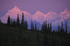 Alpenglow On Mt Brooks & Ak Range Denali Np Ak In Summer Wall Mural