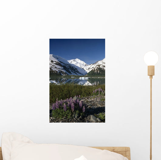 Mountain Reflecting In Portage Lake W/Lupine Sc Ak Wall Mural