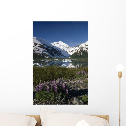 Mountain Reflecting In Portage Lake W/Lupine Sc Ak Wall Mural