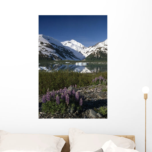 Mountain Reflecting In Portage Lake W/Lupine Sc Ak Wall Mural