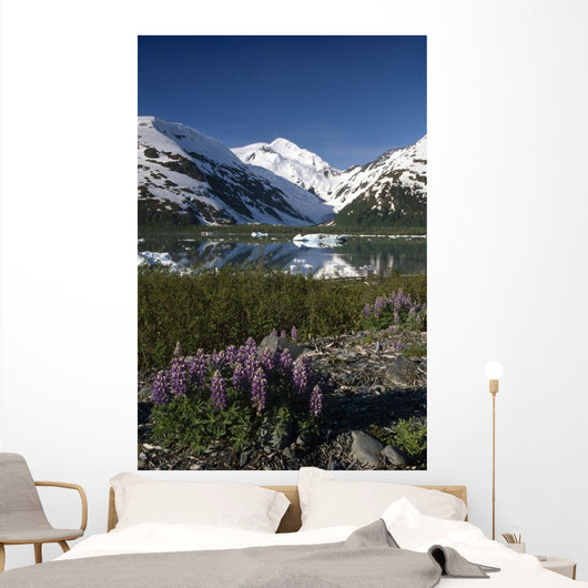 Mountain Reflecting In Portage Lake W/Lupine Sc Ak Wall Mural