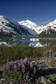 Mountain Reflecting In Portage Lake W/Lupine Sc Ak Wall Mural