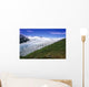 Exit Glacier Part Of Harding Ice Field Kp Ak Summer Kenai Fjords Np Wall Mural