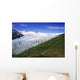 Exit Glacier Part Of Harding Ice Field Kp Ak Summer Kenai Fjords Np Wall Mural