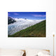Exit Glacier Part Of Harding Ice Field Kp Ak Summer Kenai Fjords Np Wall Mural