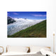 Exit Glacier Part Of Harding Ice Field Kp Ak Summer Kenai Fjords Np Wall Mural