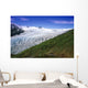 Exit Glacier Part Of Harding Ice Field Kp Ak Summer Kenai Fjords Np Wall Mural