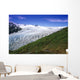 Exit Glacier Part Of Harding Ice Field Kp Ak Summer Kenai Fjords Np Wall Mural
