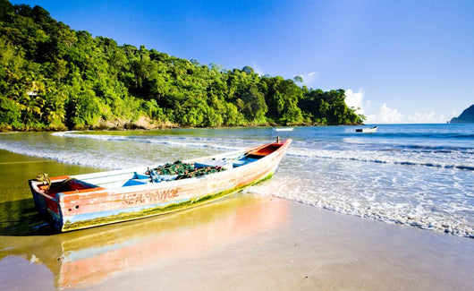 Maracas Bay, Trinidad Wall Mural