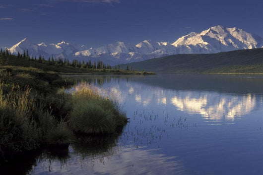 Mt Mckinley Reflects Wall Mural