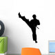 Martial Arts High Kickvector