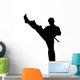 Martial Arts High Kickvector