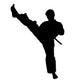 Martial Arts High Kickvector